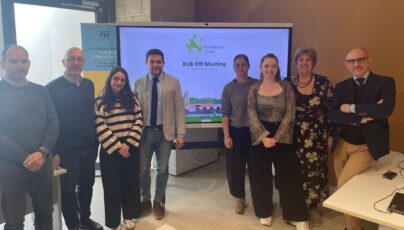 Nuovi metodi per studiare la complessità delle organizzazioni